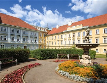 الشخص المرافق - مدينة تبليتسة